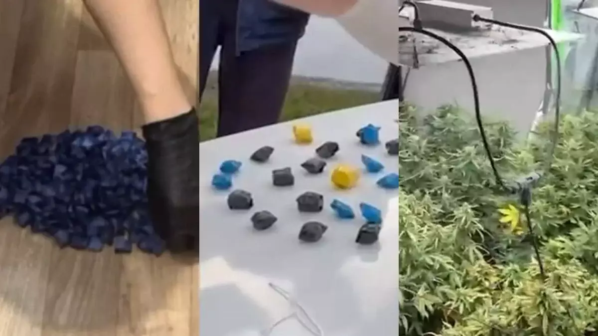 Алматыда полиция есірткі қылмысына қарсы күресті күшейтті