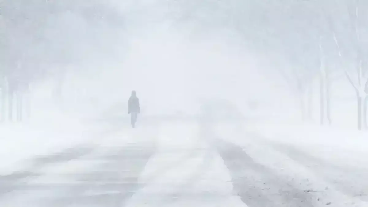 СҚО-да адасып кеткен ер адам құтқарушыларды 12 сағат күткен