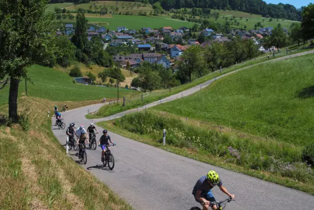 Мас күйінде велосипед айдағандар жазалана бастады