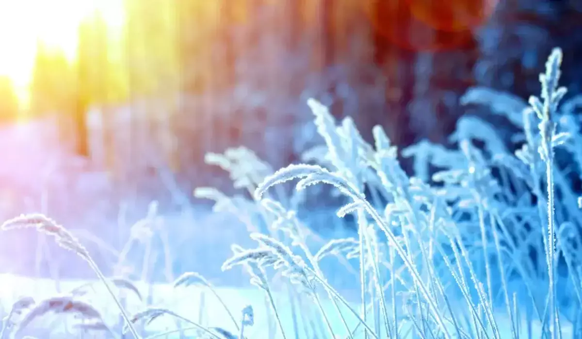 Какая погода ждет казахстанцев 13 декабря