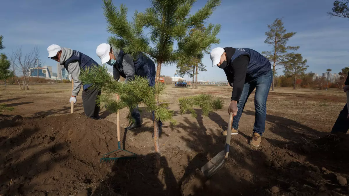 «Таза Қазақстан»: Экология емес, ұлттық жауапкершілік