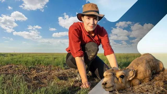 Terra X: Faszination Erde – Kasachstan: Die Steppe lebt сегодня в 19:30 на ZDF.