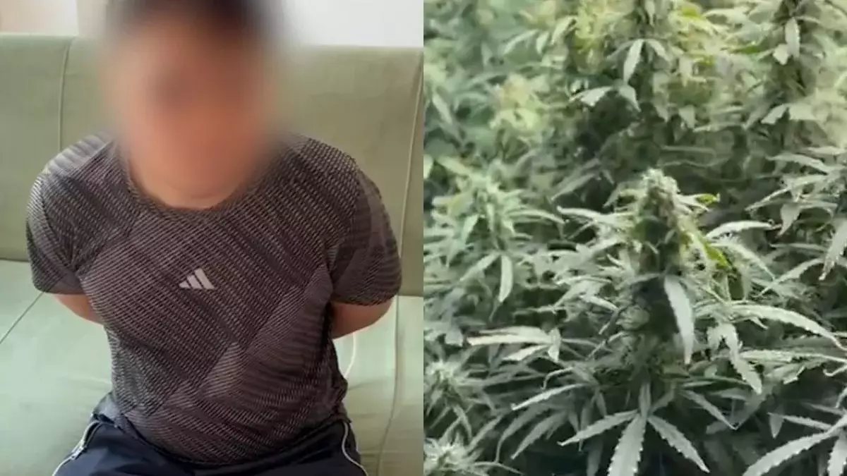 Нарколабораторию обнаружили в многоквартирном доме Алматы (ВИДЕО)