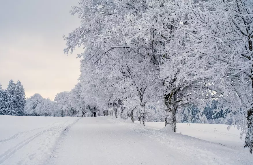 Осадки ожидаются в понедельник в Астане и Алматы, в Шымкенте без осадков