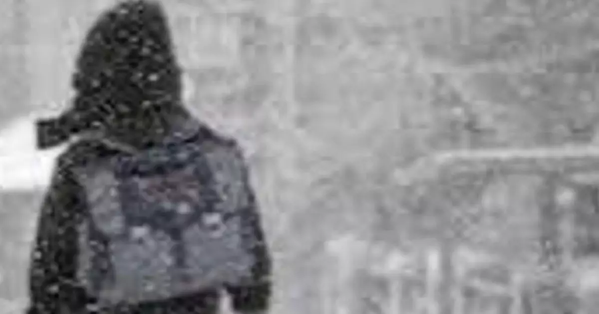  Астанада 1-6 сынып оқушылары қашықтан оқиды 