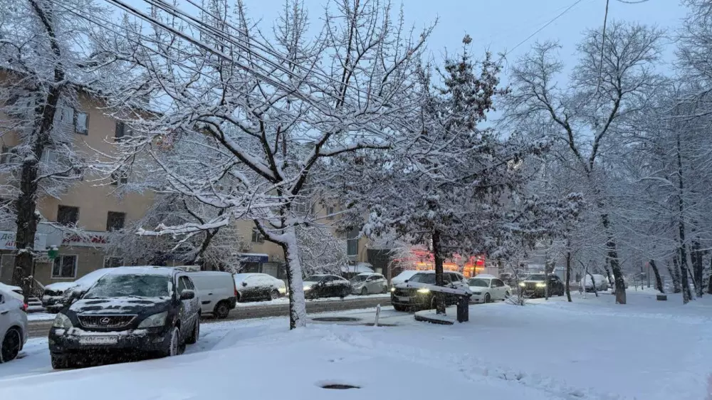 Қар аралас жаңбыр: ТЖД алматылықтарға ескерту жасады