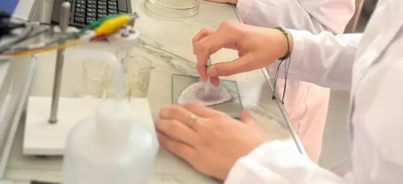 Оперативный способ выявления пестицидов разработали ученые Казахстана