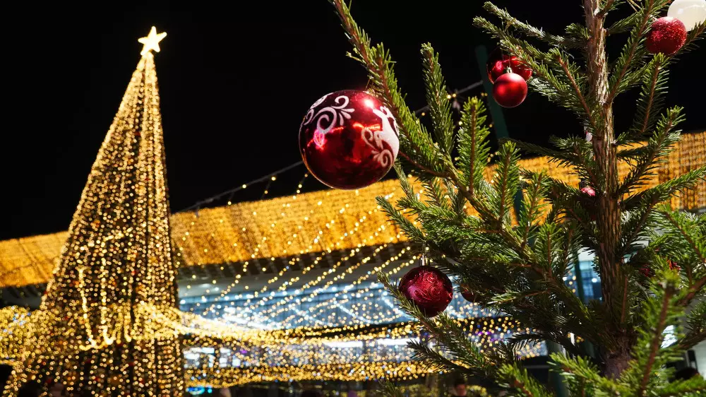 Как казахстанцы прожили 2025 год, и чем он запомнился — опрос