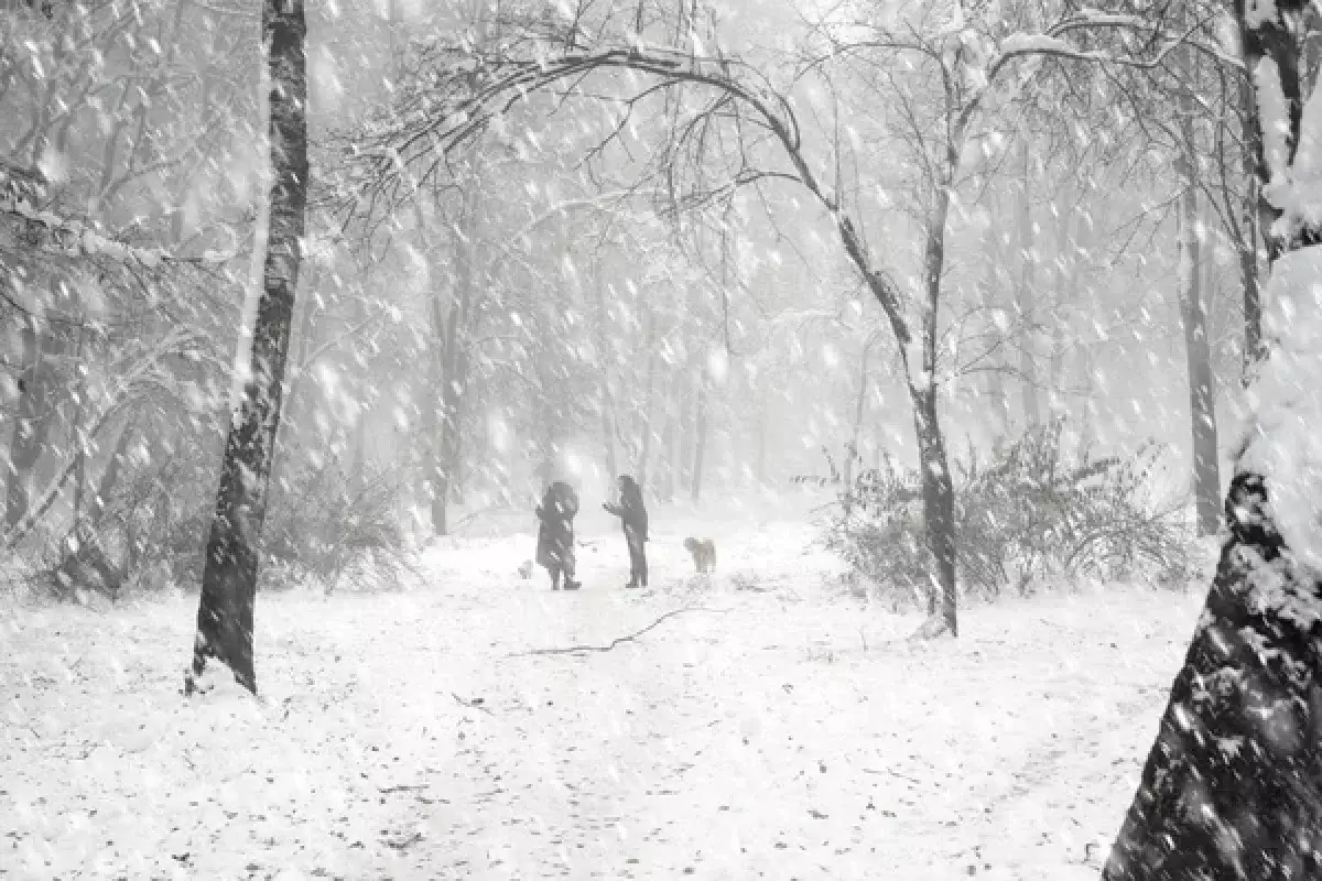 БҚО-да боранды күні адасып кеткен екі адам табылмай жатыр