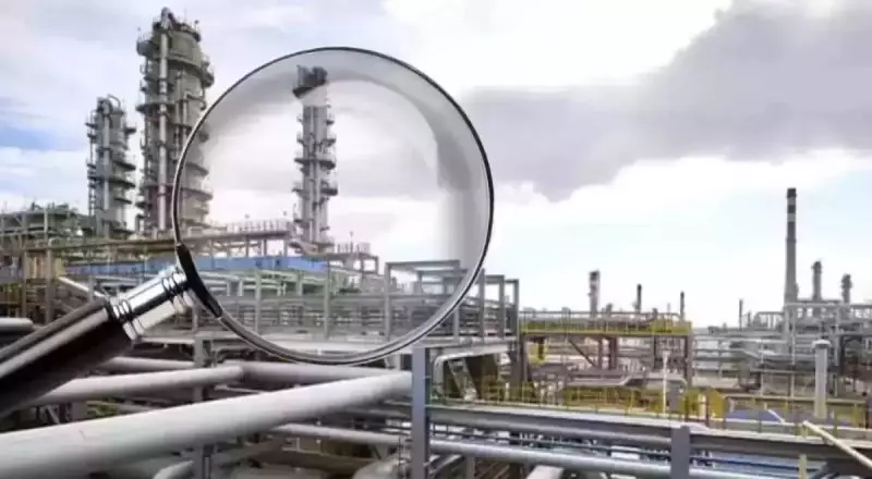 Приватизации не будет? АНПЗ и ПНХЗ могут оставить в собственности государства