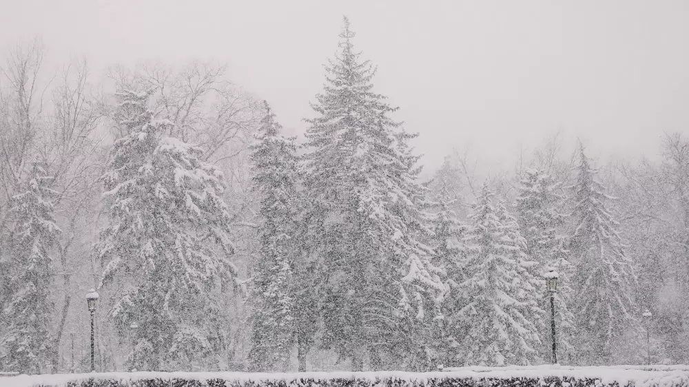 Қазақстанда алдағы күндері аяз болады