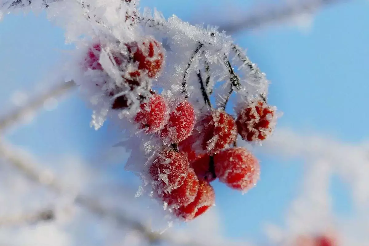 Сильные морозы надвигаются на Казахстан: прогноз на 16-18 декабря