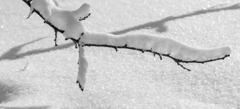 Обширный циклон сохраняет влияние на большую часть территории Казахстана