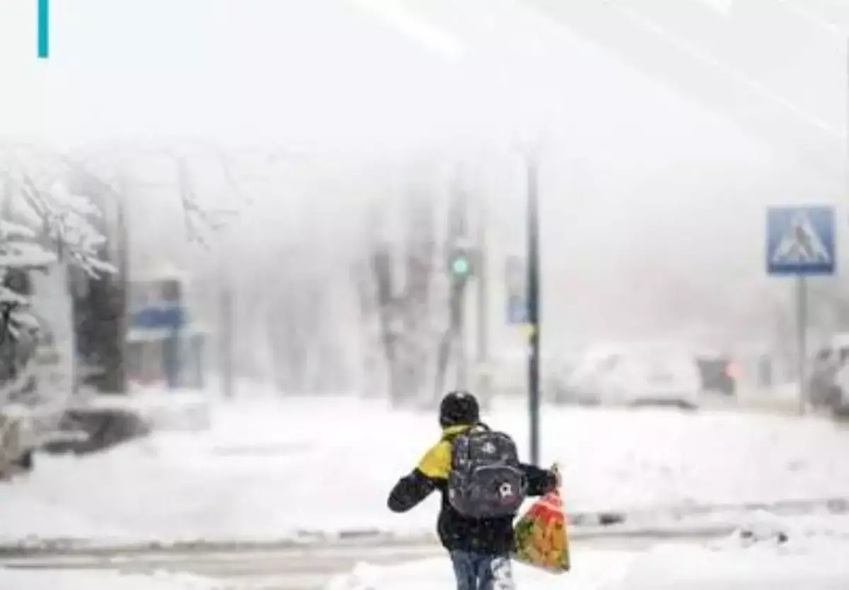 В одном из районов Мангистау школьники перешли на дистанционку - новости на Lada.kz 15.12.2025