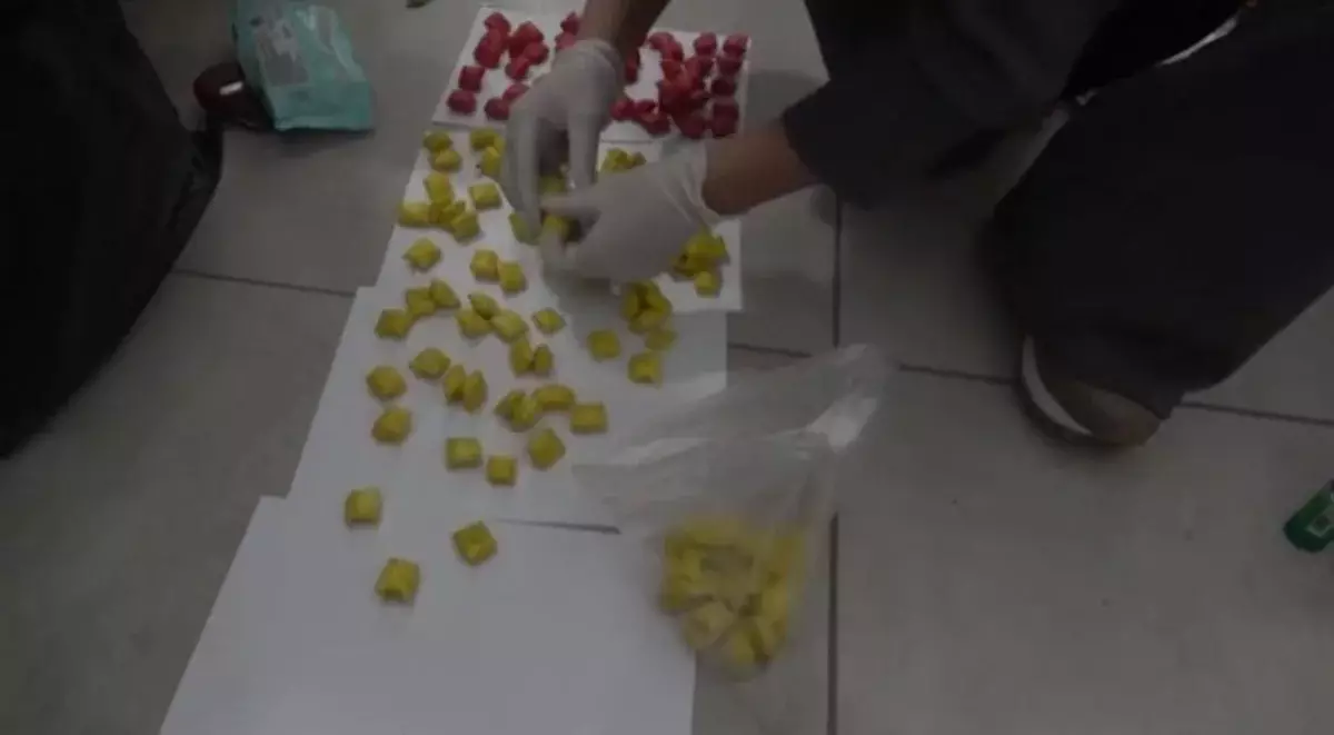 ШҚО-да жарты келіге жуық есірткімен курьер қолға түсті