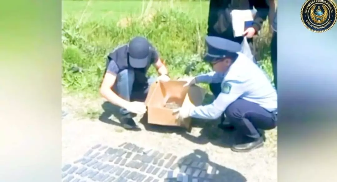 Свыше 1 тонны наркотиков изъяли в Туркестанской области с начала года