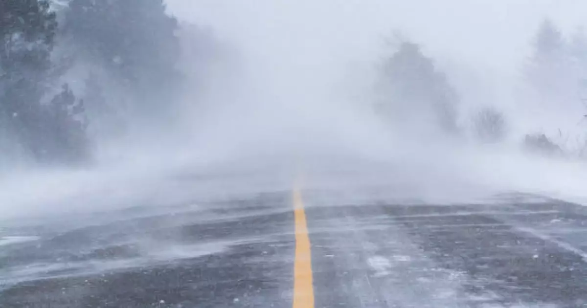   «Үш адамның мәйіті табылды»: Батыс Қазақстанда боран кезінде жоғалып кеткендер іздестіріліп жатыр   