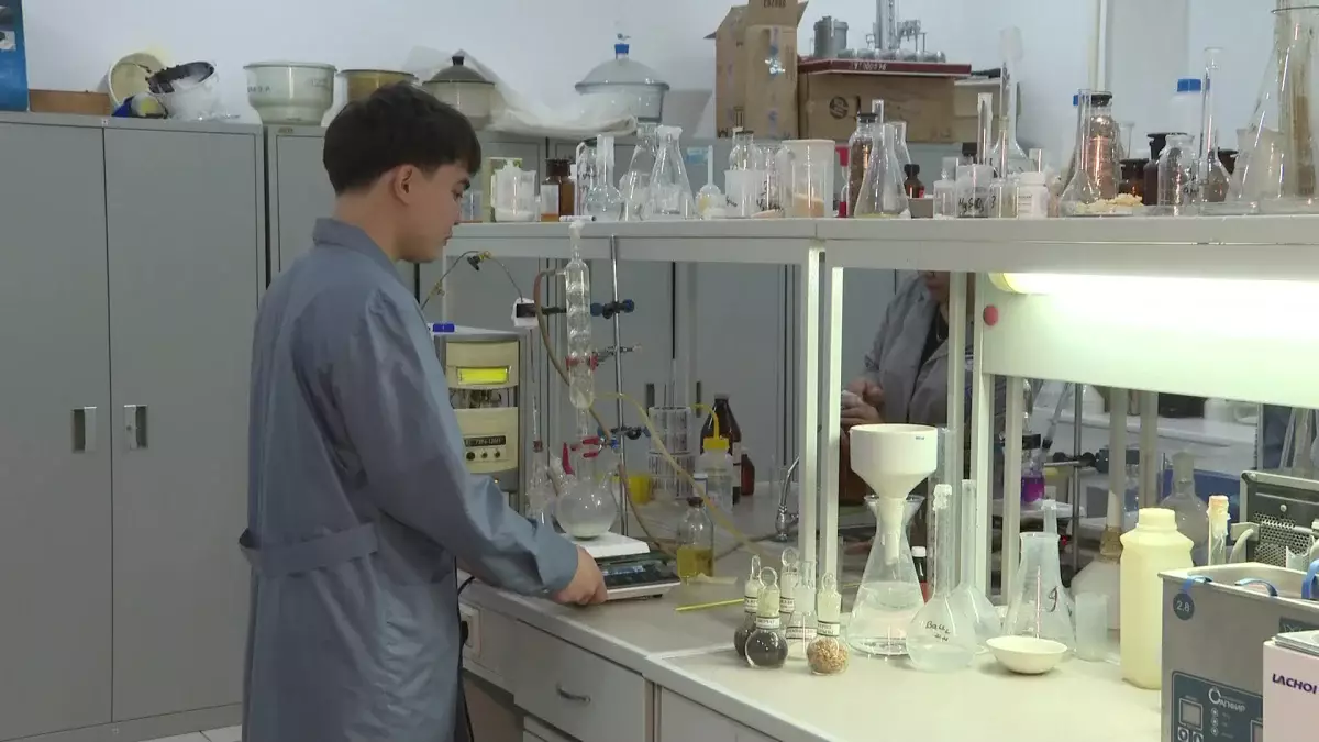 Қызылордалық ғалымдар күріш қалдығын қайта кәдеге жаратып жатыр