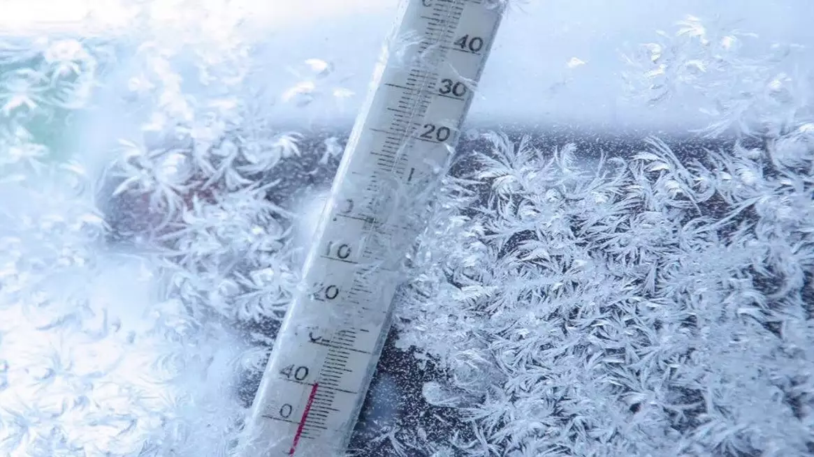 «Үш адам далада үсіп, қаза тапты» - БҚО-дағы қатты боран елді дүрліктірді