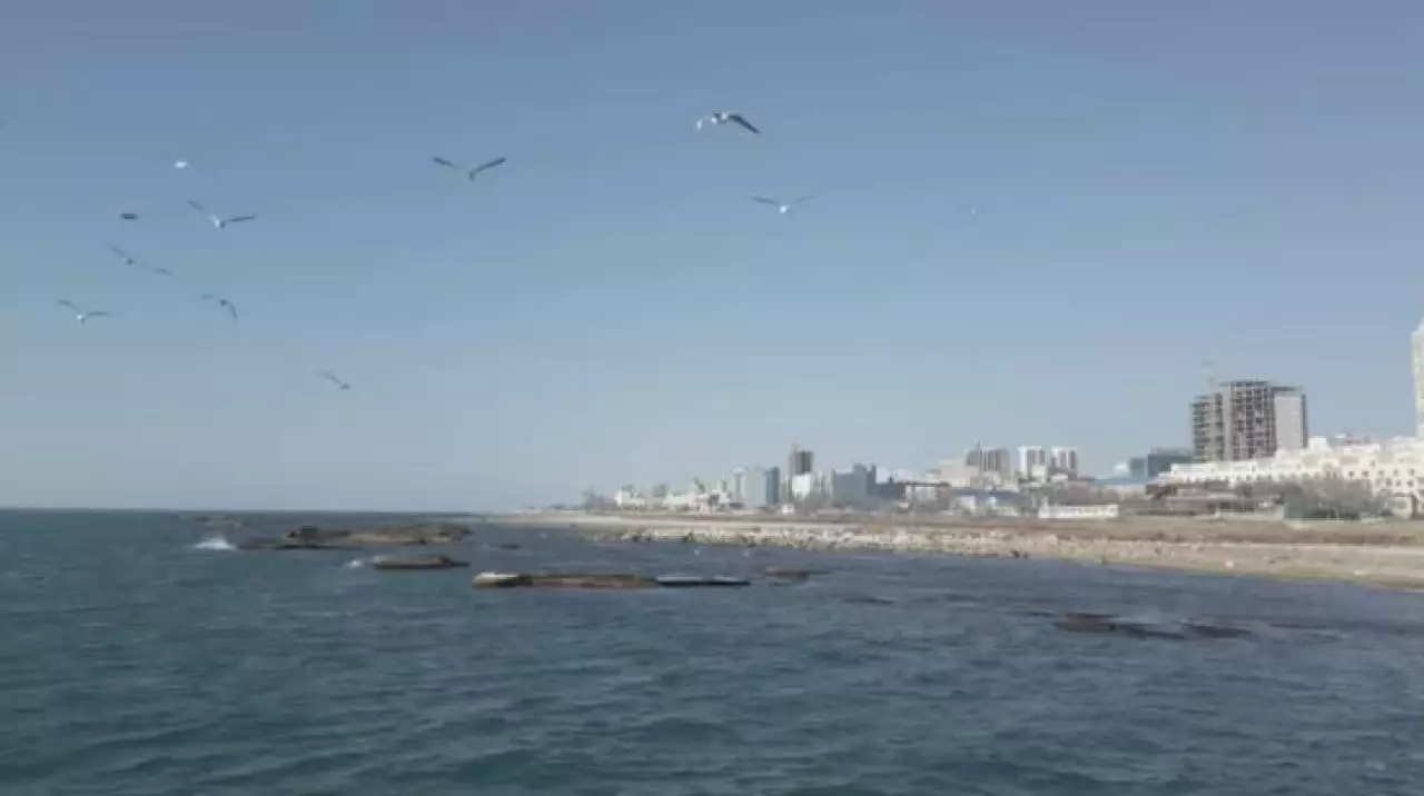 Токаев предложил создать международную водную организацию в структуре ООН