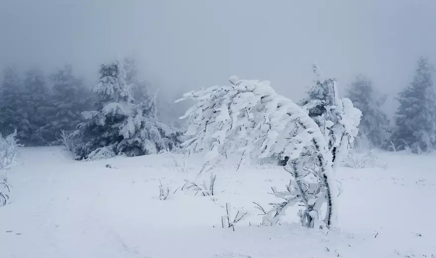 Тела еще двоих погибших в метели нашли в ЗКО