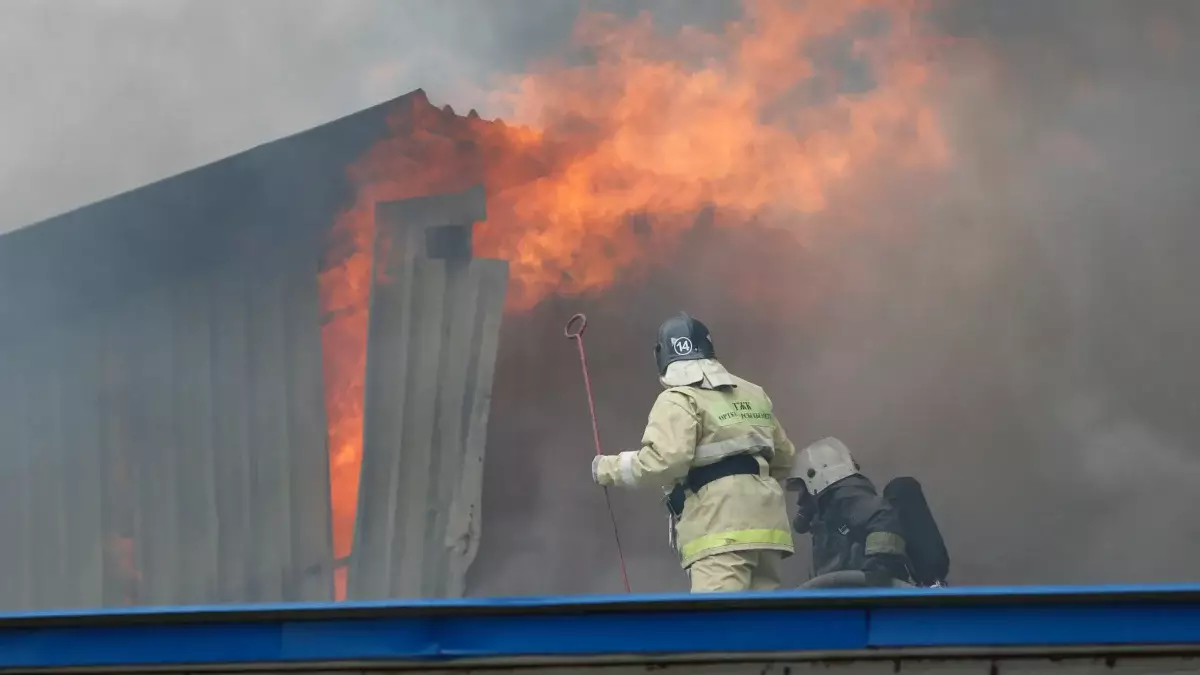 СҚО-да құс фабрикасында алапат өрт шықты (ВИДЕО)