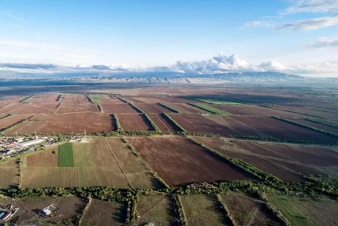 В Жетысу возвращают в оборот сотни тысяч гектаров неиспользуемых земель