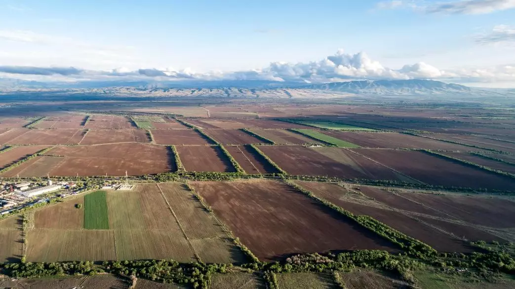 Жетісуда пайдаланылмаған жүздеген мың гектар жер қайта айналымға енгізілуде