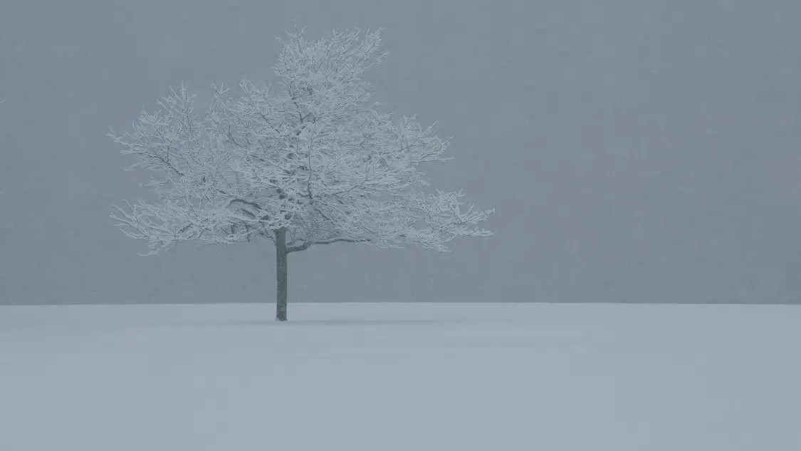 Қар, бұрқасын: 16 желтоқсанда барлық өңірде дабылды ескерту жарияланды