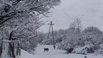 БҚО-да боранда хабарсыз кеткен тағы бір адам өлі табылды