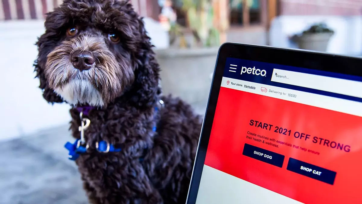 Petco подтвердила крупную утечку данных клиентов.