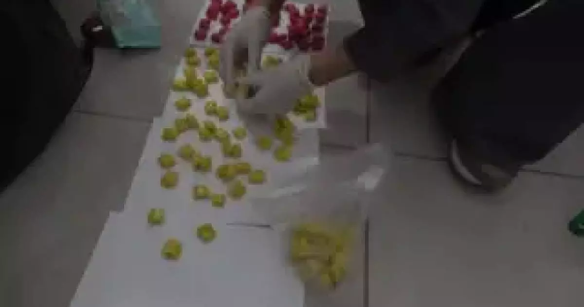  ШҚО-да курьер жарты келіге жуық есірткімен ұсталды 