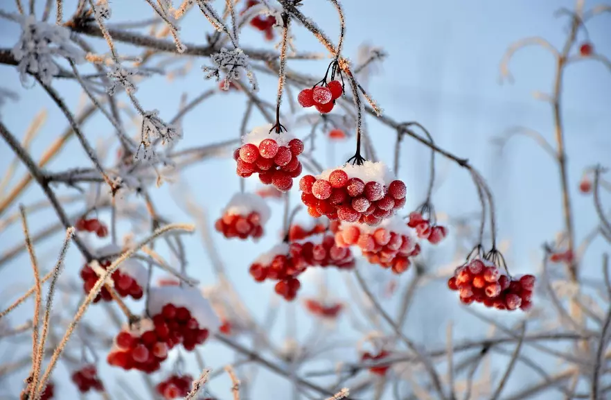 Осадки ожидаются во вторник в Астане, Алматы и Шымкенте