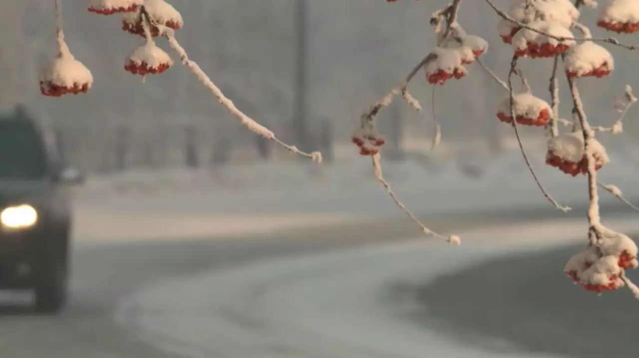 Снег, ветер, метель: штормовое предупреждение объявлено в РК