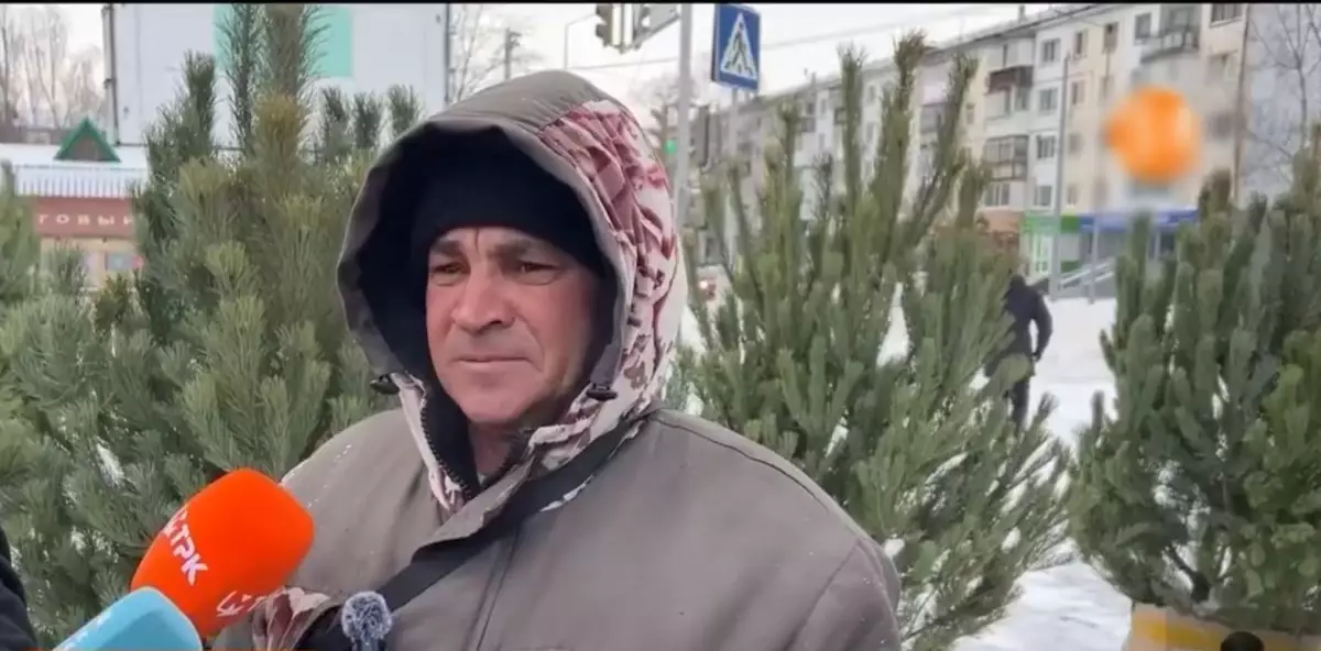 Қазақстанда рұқсатсыз шырша сатқандарға 400 мың теңгеге дейін айыппұл салынады