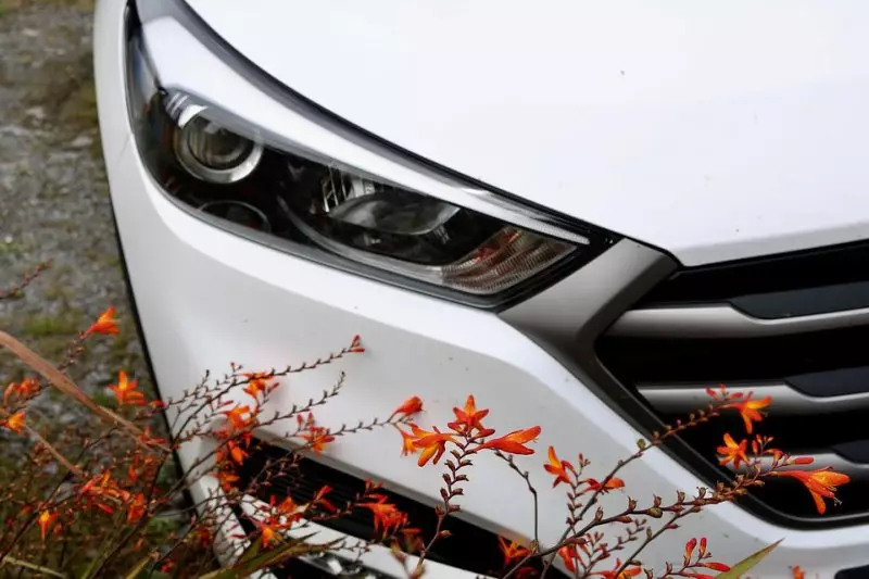 Каждый третий — за рулём: где в Казахстане больше всего автомобилей