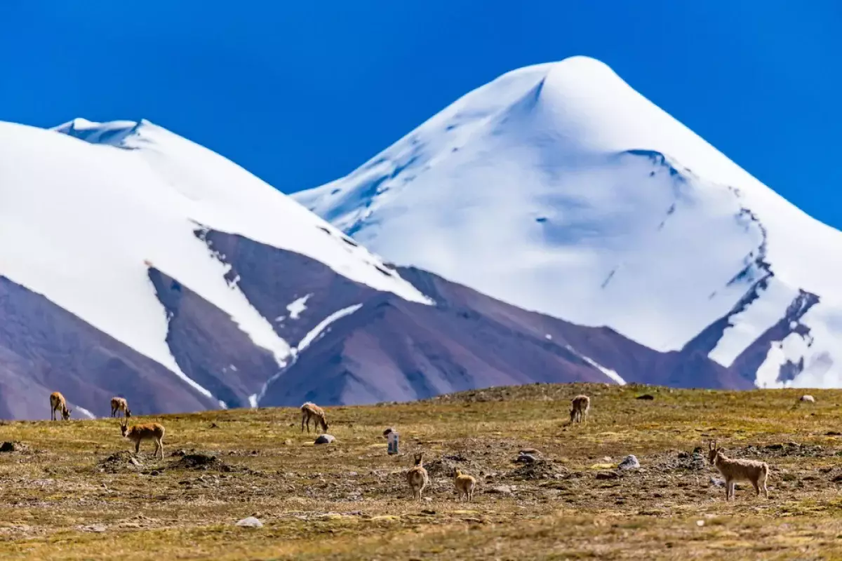 Глобальное потепление: когда растают ледники на Земле