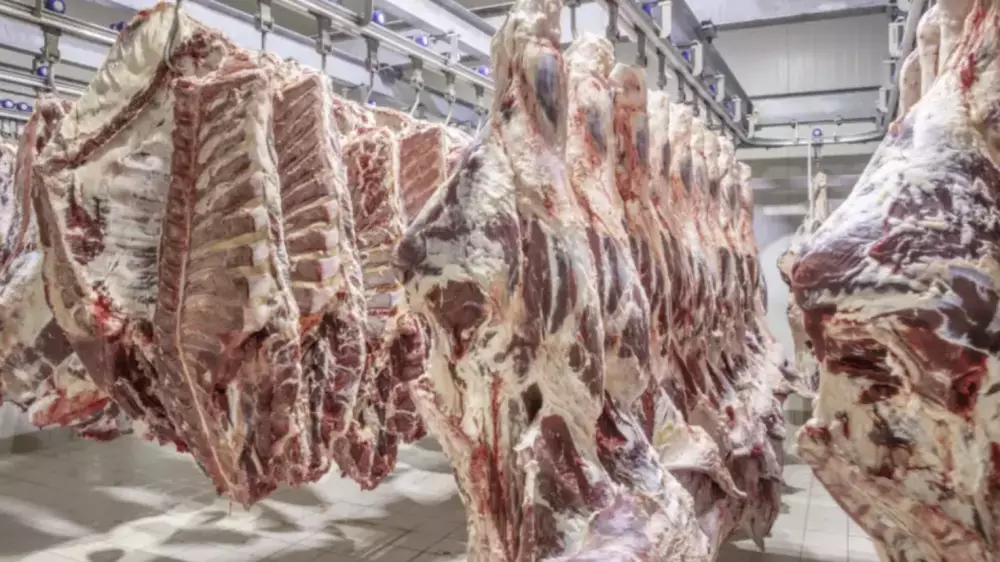 Қазақстанда сиыр етін экспорттауға шектеу қойылды: министр себебін түсіндірді