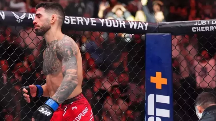 Топурия потеряет титул? Репортер UFC поделилась инсайдом