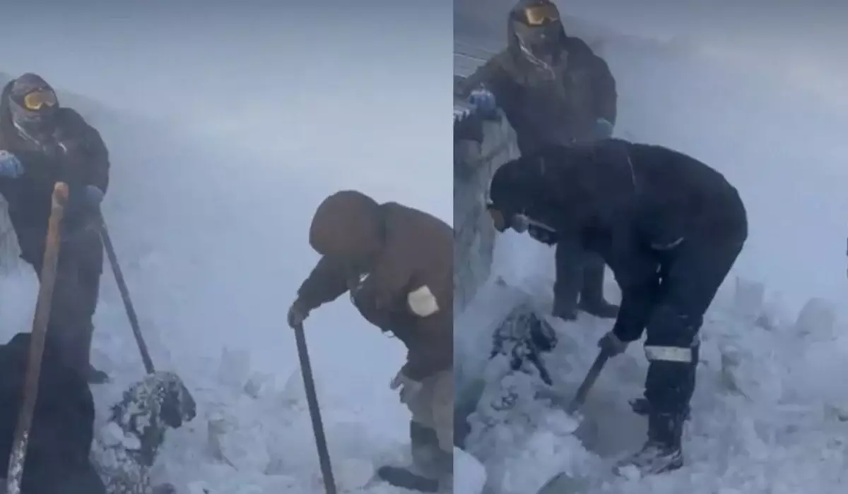 Сельчане откапывали скот из снежного плена в ЗКО (ВИДЕО)