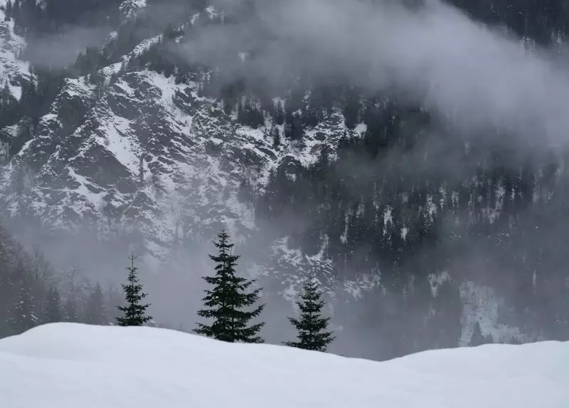 Снег, туман и сильный ветер: какая погода ждёт Казахстан 17 декабря