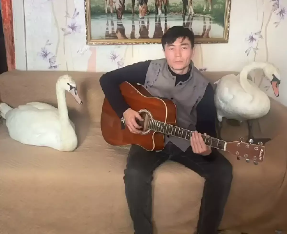 Казахстанцы пристально следят за судьбой спасенных лебедей в Павлодарской области