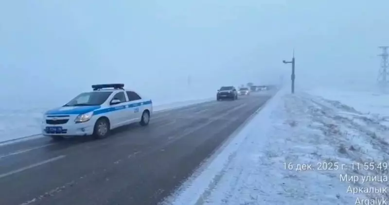 Из-за метели в Костанайской области полиция сопроводила 100 автомобилей