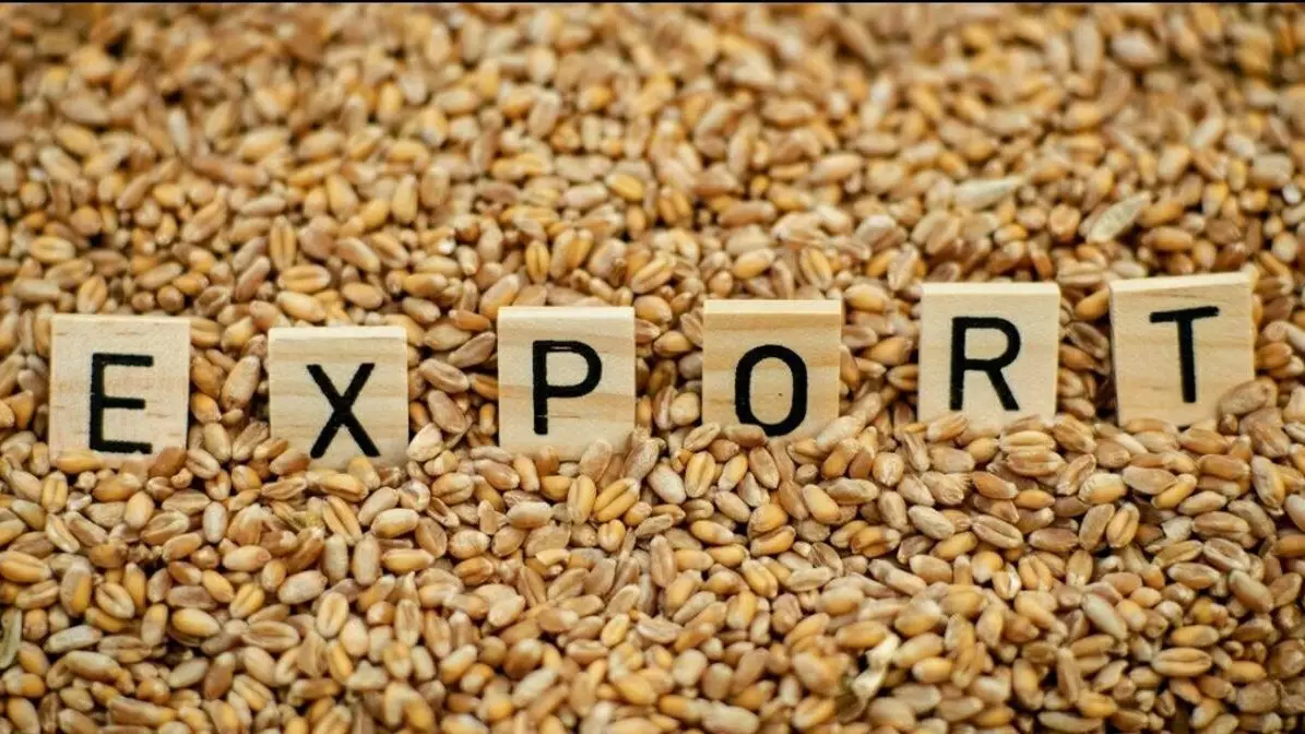 2026 жылы астық экспорттауға 30 млрд теңгеден астам қаржы бағытталады