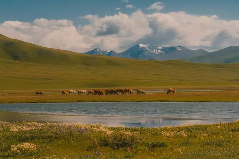 Ulytau — новый центр устойчивого туризма и экологической сохранности в Казахстане.