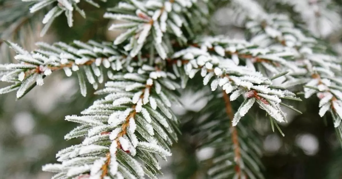  Бұрқасын, тұман, көктайғақ... Синоптиктер ескертеді 