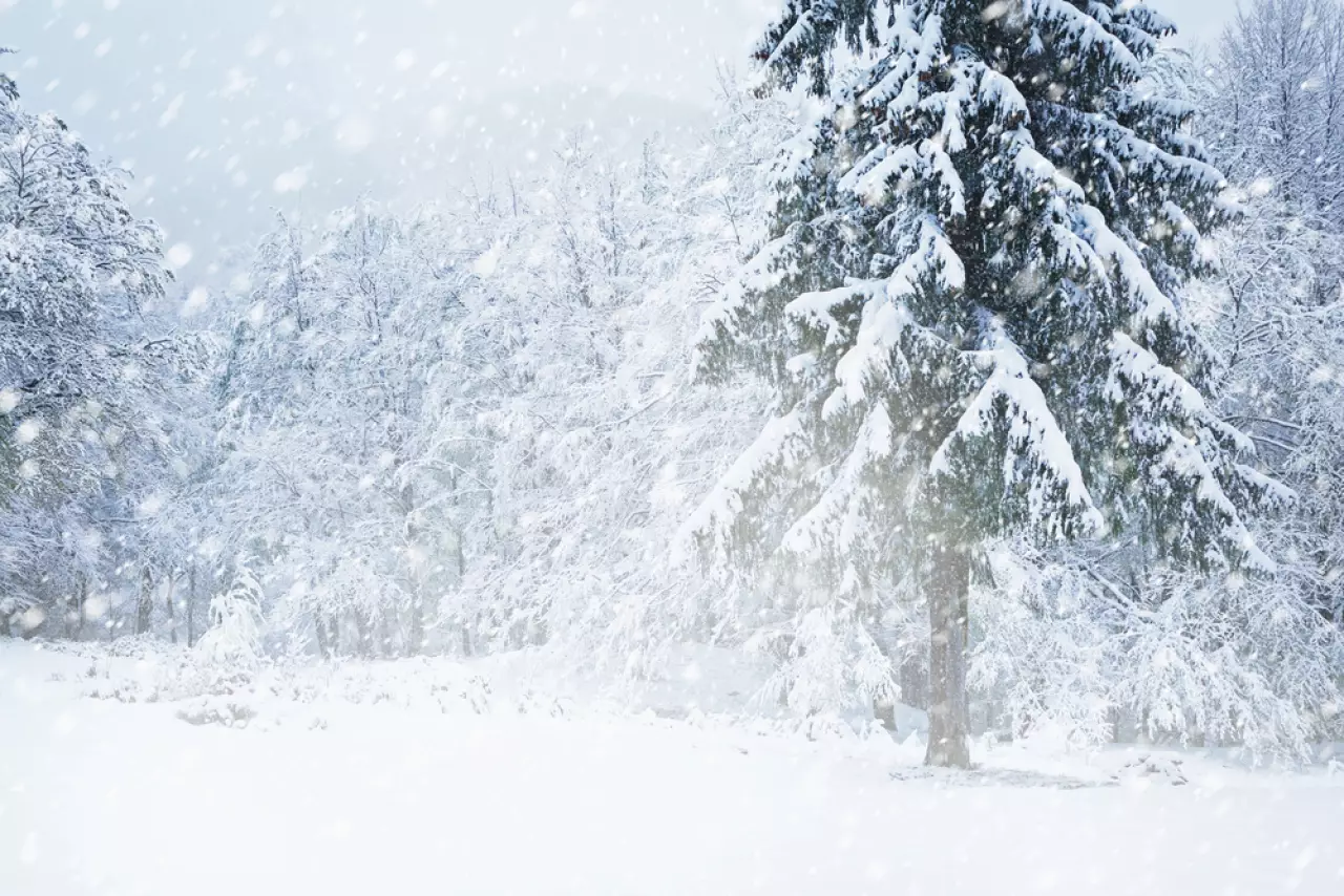 Снег и метель прогнозируют в Казахстане