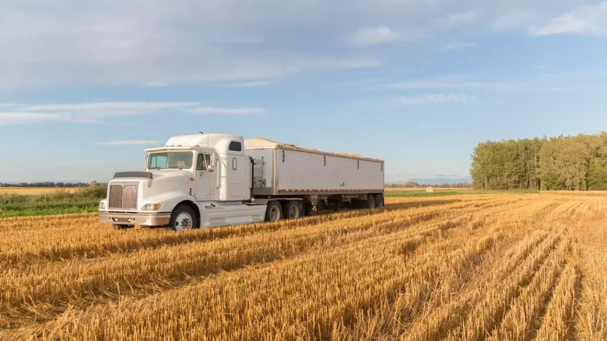 Қазақстан әлем елдеріне 13,4 млн тонна астық экспорттады – вице-министр