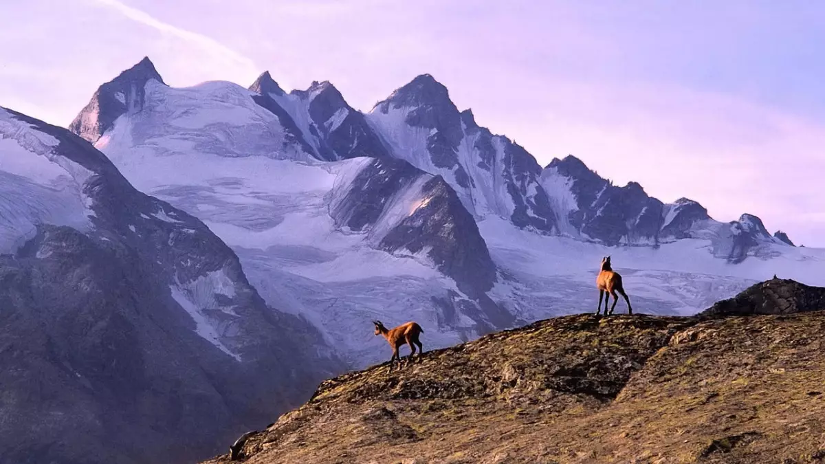 Қазақстан мұздықтарды халықаралық деңгейде зерттейтін алаңға айналады