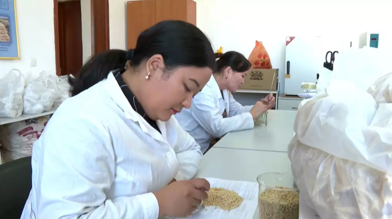 Аграрную стратегию меняют в Кызылординской области